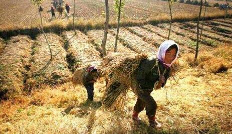 2朝鲜人冲到中国 朝鲜现状是怎么样的？