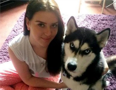 【图】哈士奇瞪主人爆红 呆萌治好主人抑郁症