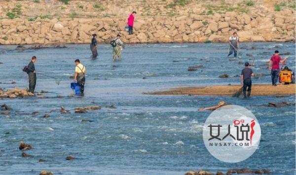 武汉村民疯狂电鱼 网友狂批愚蠢村民行为破坏生态环境