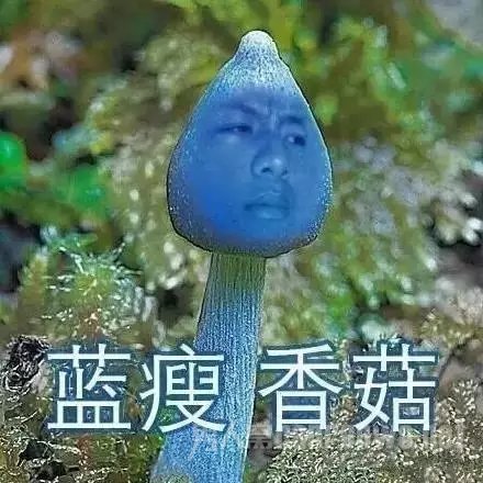 蓝瘦香菇