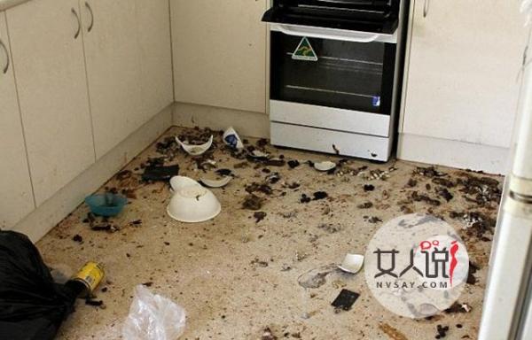 14只猫互食剩猫骨 因过度饥饿自相残杀死状凄惨令人唏嘘