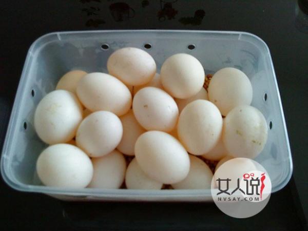 鸽子蛋的营养价值及功效 教你做出好吃又不腻的养生汤水