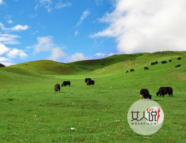 扮网友卧底自杀群 揭处于灰暗地带的特殊人群内心世界