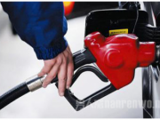 国内油价年内第8次上调 各省柴油汽油零售价一览表