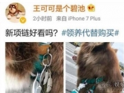 活得不如一条狗！ 王思聪买权志龙同款项链当狗链