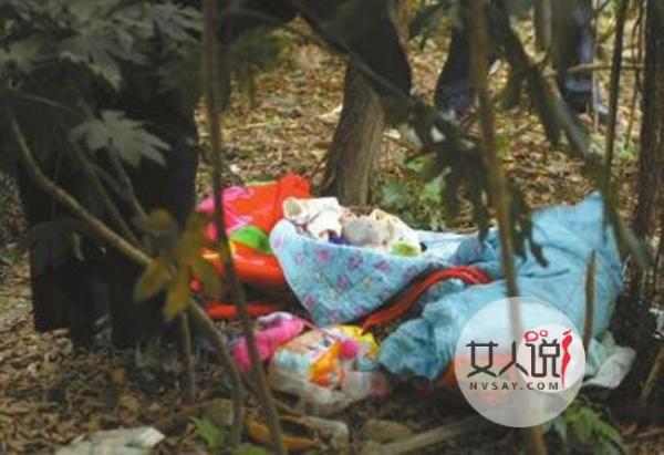 绿化带中发现女婴 女婴被遗弃垃圾桶旁冻得险丧命很可怜