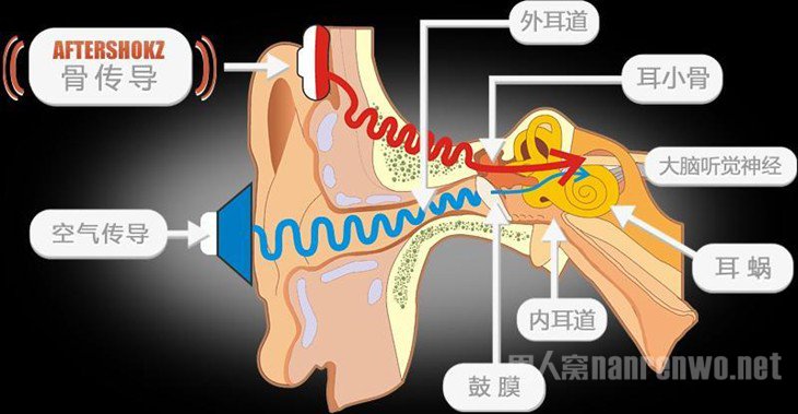 骨传导耳机原理图示