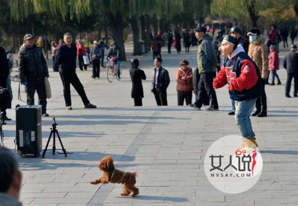 老师扮八戒跳舞养家 肥头大耳做街头直播受尽了人情冷暖