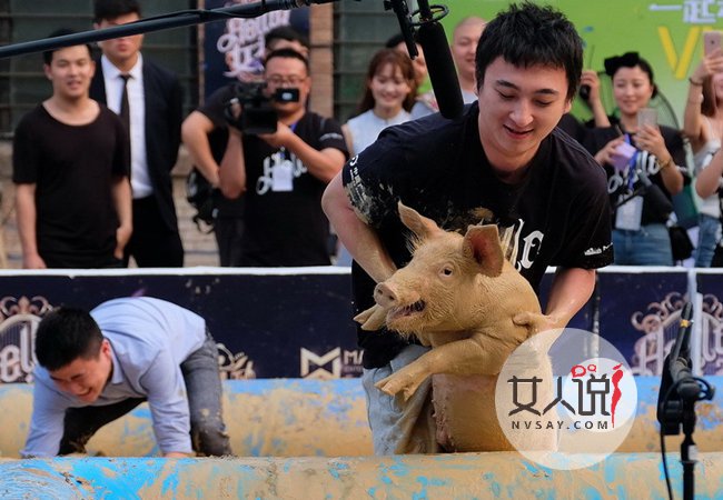 王思聪翻白眼抓猪笑尿 日完狗就圈猪猪大爷表示不服