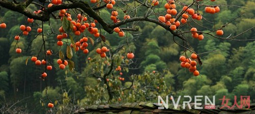 秋冬季节如何清火 五种清热降火的食物轻松解决