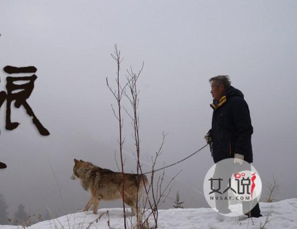 7旬老人养野狼 与狼共舞竟然比同龄人年轻真相令人震惊