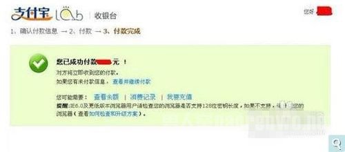 付款成功