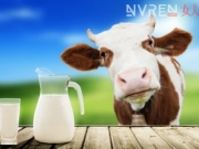 健康喝牛奶 我们需要拒绝这五种与牛奶有冲突的食物