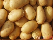 关于土豆你不得不知道的一些营养价值和禁忌
