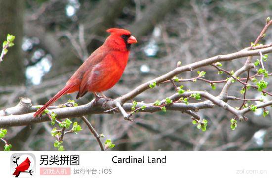拼图游戏《Cardinal Land》