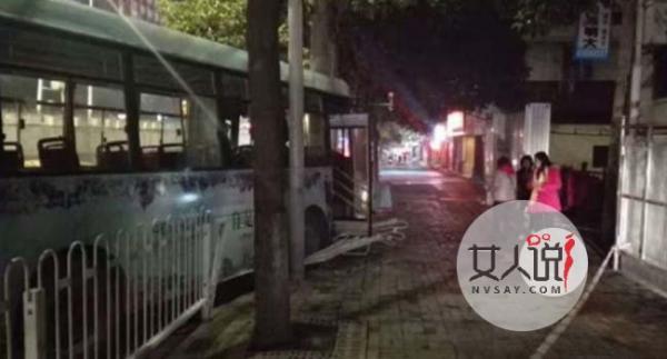 女子公交坐过站 方向盘被抢横蛮无理女子不顾后果酿惨剧