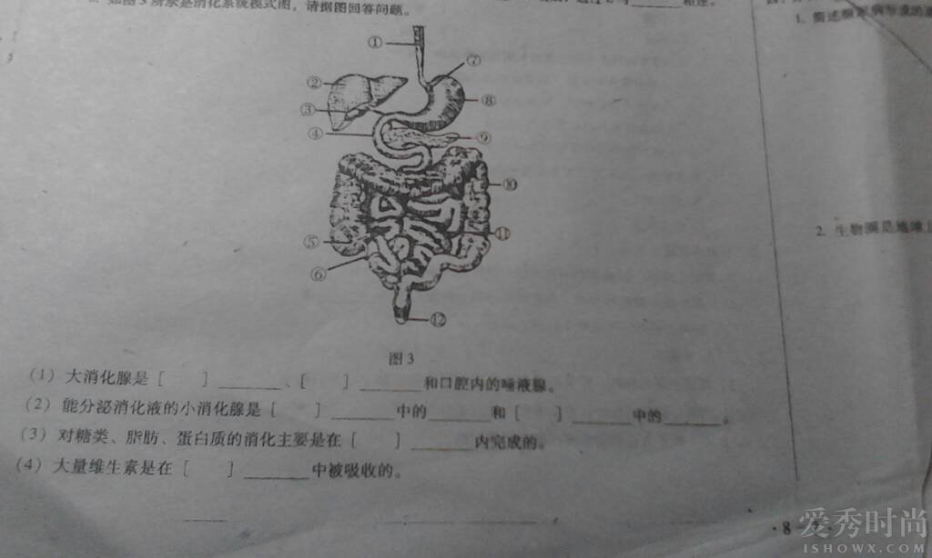 什么是阑尾炎?