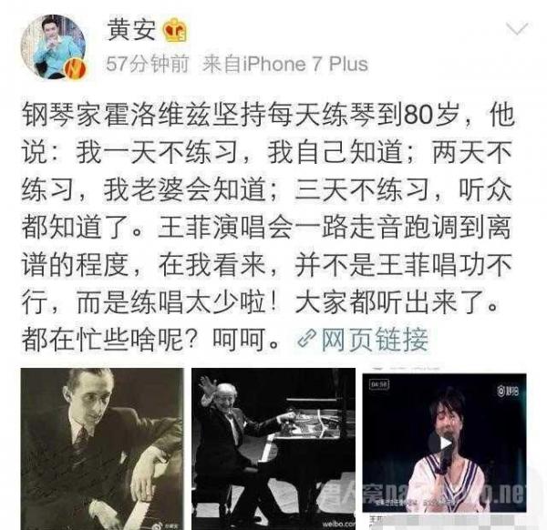 音乐人黄安评价王菲