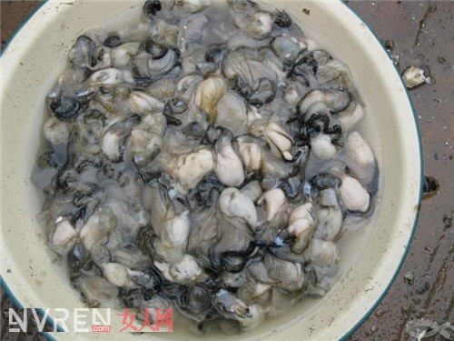 舌尖的滋味 泉州好吃的海蛎煎怎么做