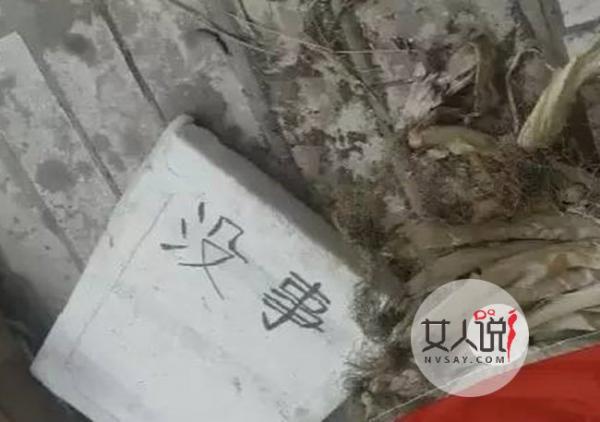 少女绑住折磨生母 虎毒不食子往往换来的却是恩将仇报