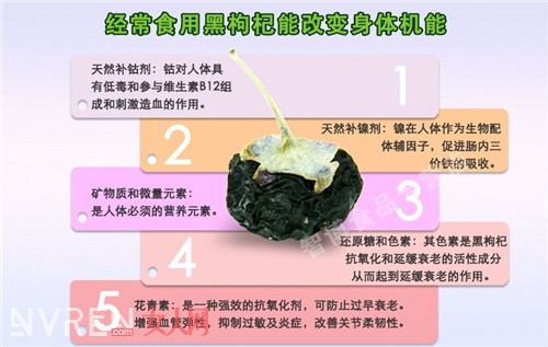 野生黑枸杞的作用与功效是什么 食用方式是什么