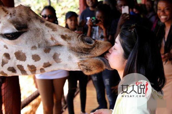 美女和长颈鹿舌吻 网友惊呼：这画面太美我不敢看