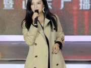赵薇放弃控股万家文化 融资方案未获批准