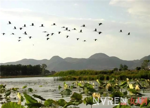 《三生三世十里桃花》取景地：最美不过桃花 最爱不过三生