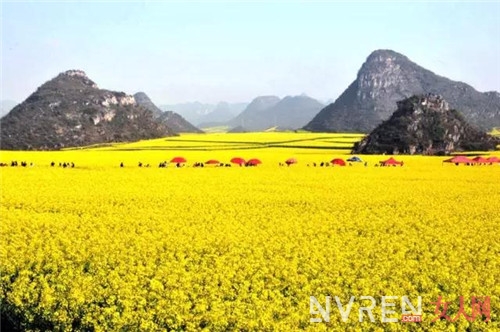 《三生三世十里桃花》取景地：最美不过桃花 最爱不过三生