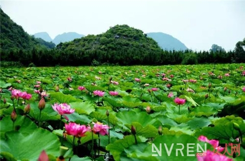 《三生三世十里桃花》取景地：最美不过桃花 最爱不过三生