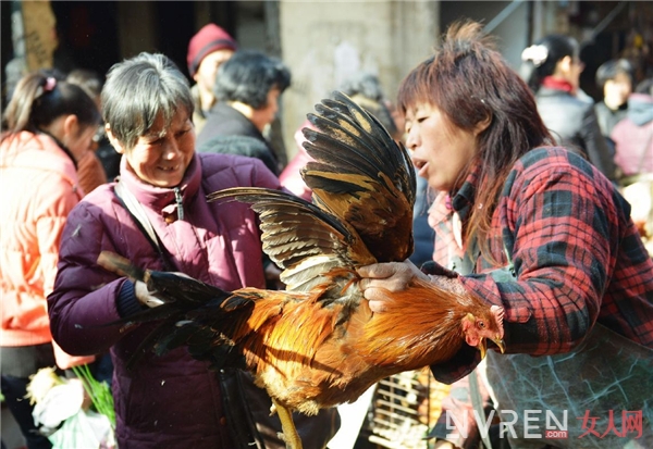 H7N9致1月死亡79例疫情进入高发期 怎么样预防才好