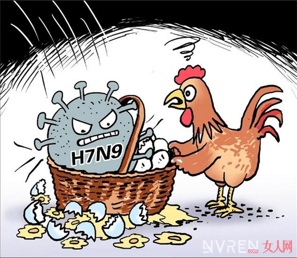 H7N9致1月死亡79例疫情进入高发期 怎么样预防才好