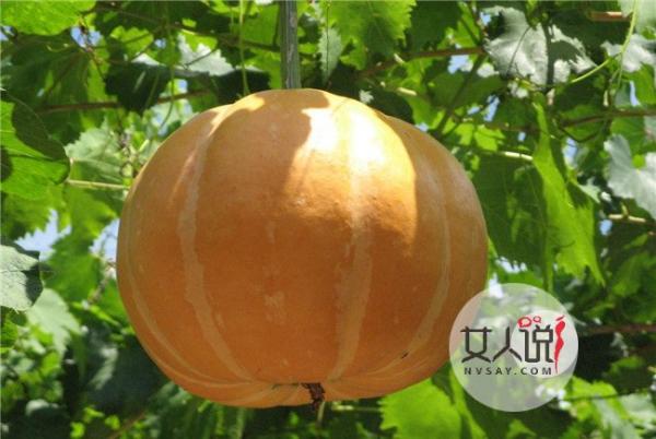 降血糖吃什么蔬菜最有效 高血糖患者最适合吃哪些蔬菜