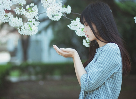 挽回爱情句子  人生感悟永不说再见1