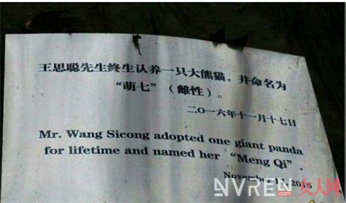 王思聪示爱张小蒙 豆得儿下线张小蒙家庭背景遭扒