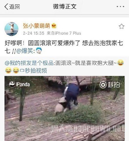 张小蒙宣示主权