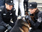 于和伟主演的电视剧 《警花与警犬》收官