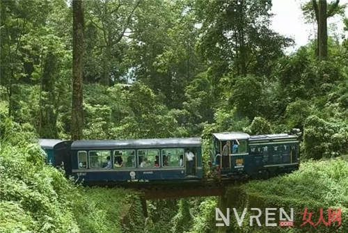 四条超浪漫的火车旅行线 每一眼风景都不该遗漏！