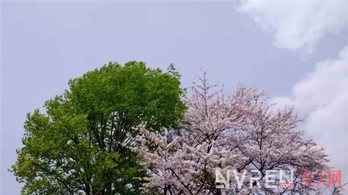 就让这十部电影 带给你春天的气息