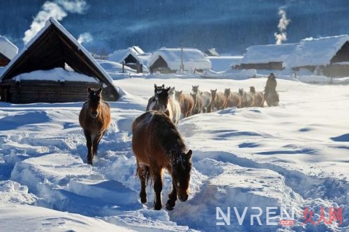 冰雪世界不止在童话里哦 盘点全球十五个最美冰雪小镇