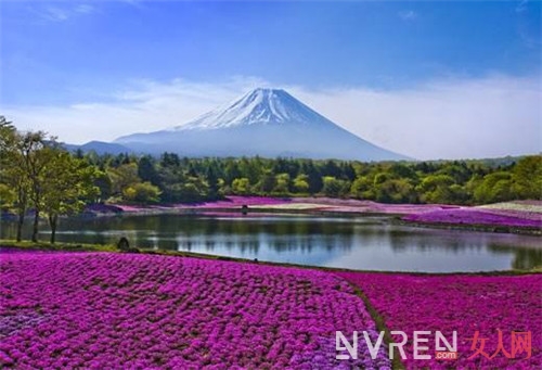 敏感时期去哪儿旅游放松最合适 全球十大低犯罪国度