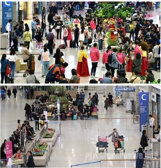 机场对比