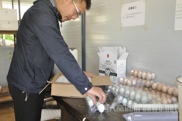 研发富硒鸡蛋