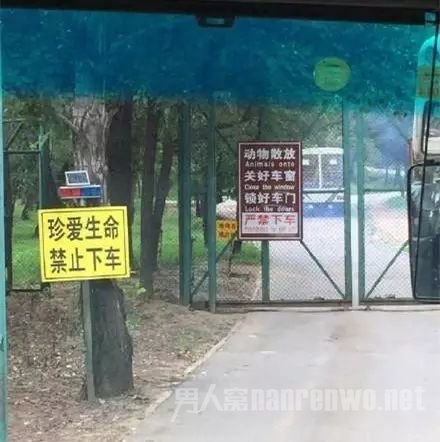 虎园禁止下车