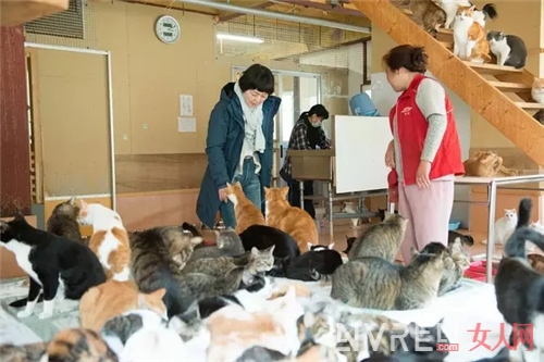 这些关于猫狗萌宠的催泪弹 看到你眼泪流干