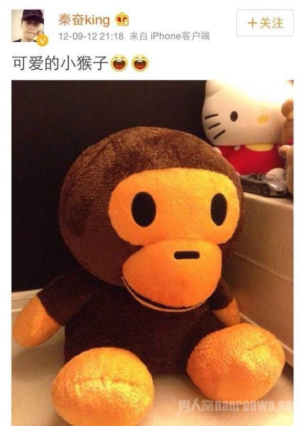 秦奋晒同款玩具