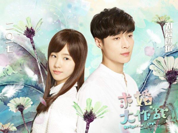 求婚大作战海报