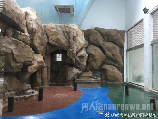 成都动物园熊猫馆内舍