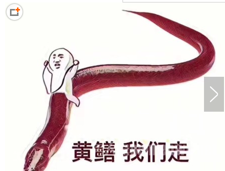 黄鳝我们走表情包