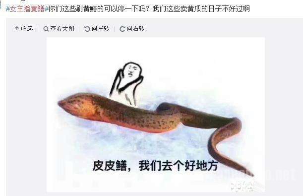皮皮鳝我们走表情包